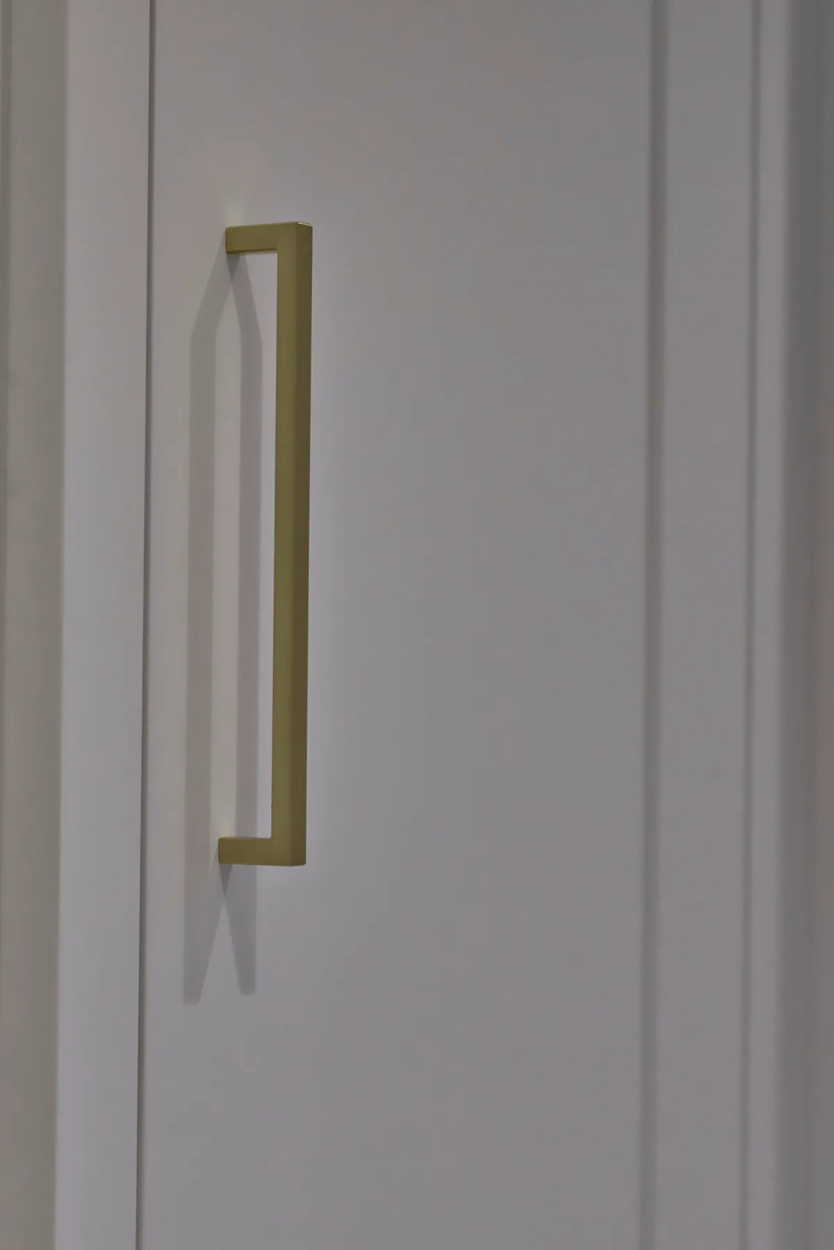 Brushed brass bar handle on a pale painted door